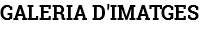 GALERIA D'IMATGES 